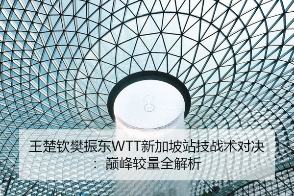 王楚钦樊振东WTT新加坡站技战术对决：巅峰较量全解析