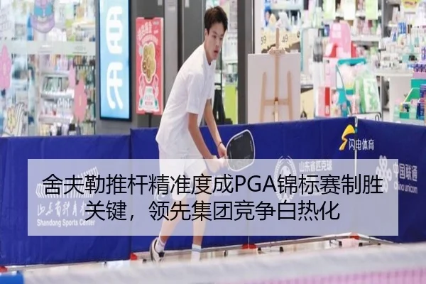 she-fu-lei-tui-gan-jing-zhun-du-cheng-jin-biao-sai-zhi-sheng-guan-jian-ling-xian-ji-tuan-jing-zheng-bai-re-hua-2-532.jpg