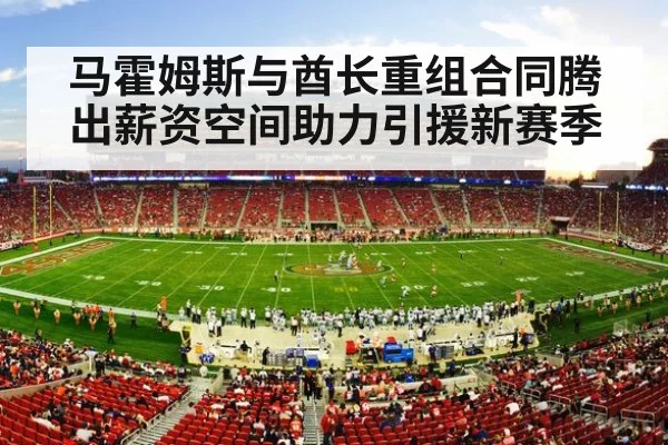 NFL football stadium action