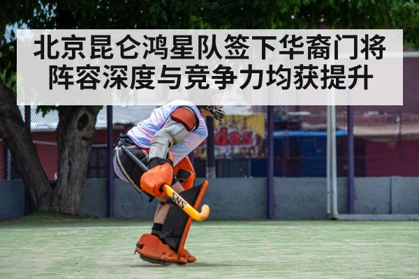 hockey goalkeeper save