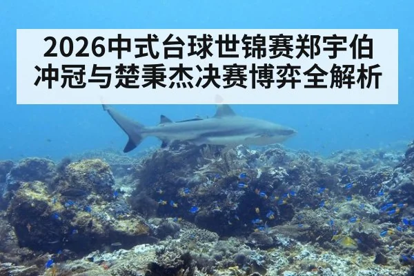 2026中式台球世锦赛郑宇伯冲冠与楚秉杰决赛博弈全解析